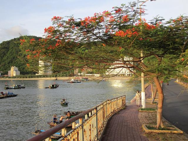 Cát Bà Island